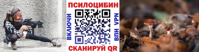 Псилоцибиновые грибы прущие грибы  Купить где  Буинск 