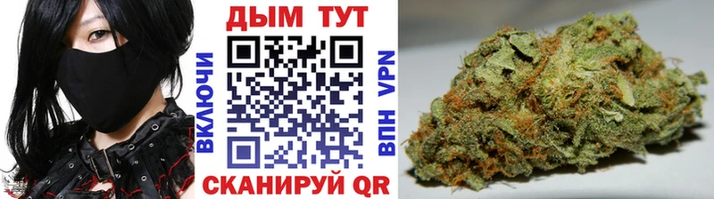 Купить закладки  Буинск  Каннабис White Widow 
